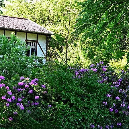 Gottesgabe Rheine